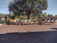 carriage2.jpg