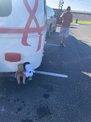 More information about "1988 Casita 13’ Patriot Deluxe"