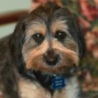 Benson